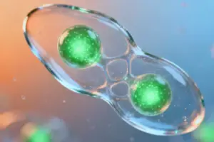 Membrane-Tethered SLP-76 Boosts CAR T Cell Efficacy Against - Breakthrough in Overcoming CAR T Cell Resistance Researchers h