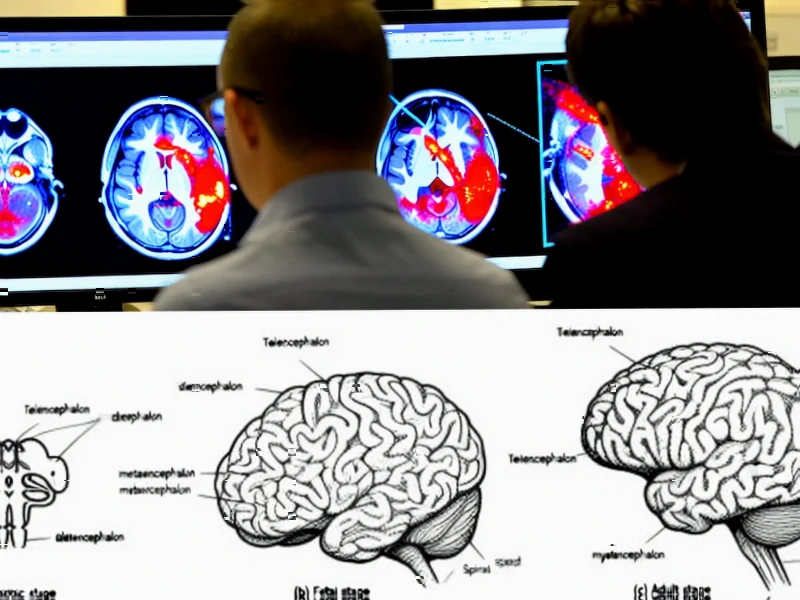 Brain Maturation Study Reveals Key Cognitive Development Pat - According to Nature, researchers have established a direct lin