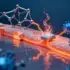 Modular Vaccine Platform Using Nanobodies Shows Broad Protec - Breakthrough in Combination Vaccine Technology Researchers hav
