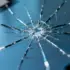 Windows 11 bypass tool gets dangerous copycat